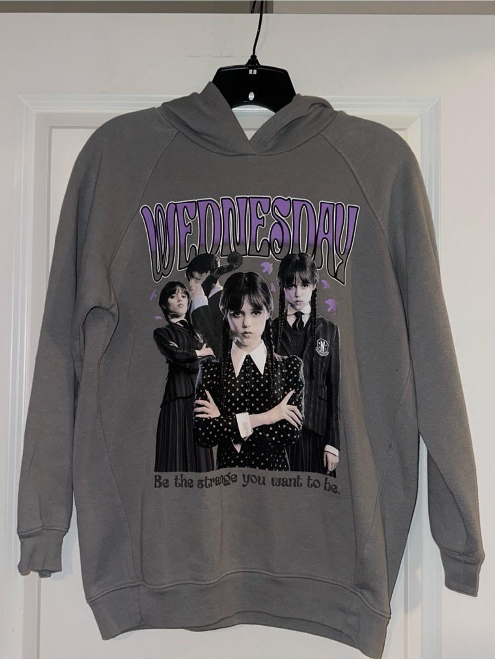 Hot Topic Grey Wednesday Graphic Hoodie with Purple Accents